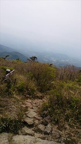 DSC_0311_R.jpg