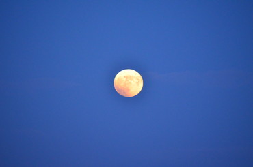 DSC_0686.jpg