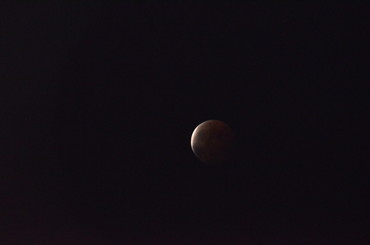 DSC_0739.jpg