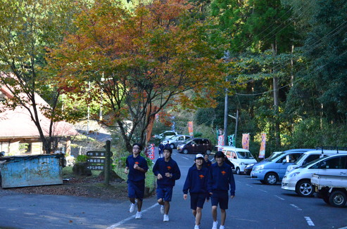 DSC_0953.jpg