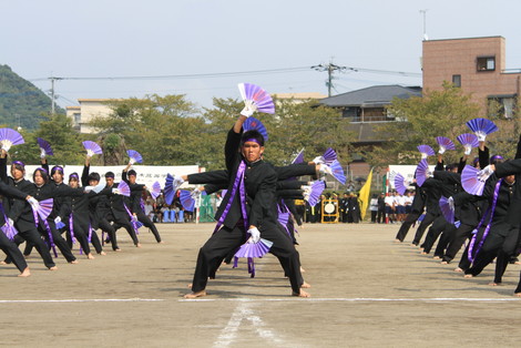 IMG_2449.jpg