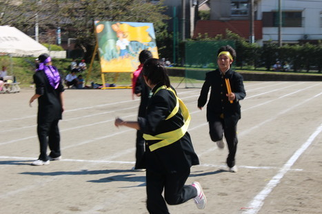 IMG_2879.jpg