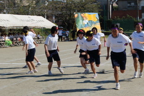 IMG_2898.jpg