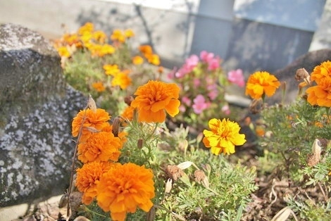 IMG_6006.jpg
