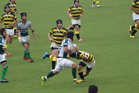 IMG_6347.jpg