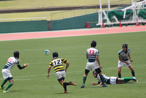 IMG_6399.jpg