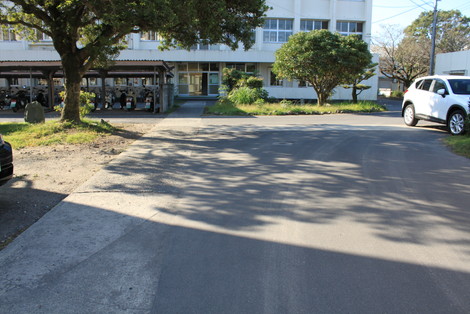IMG_6571.jpg