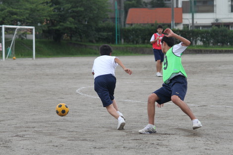 IMG_6767.jpg