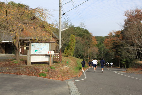 IMG_7079.jpg