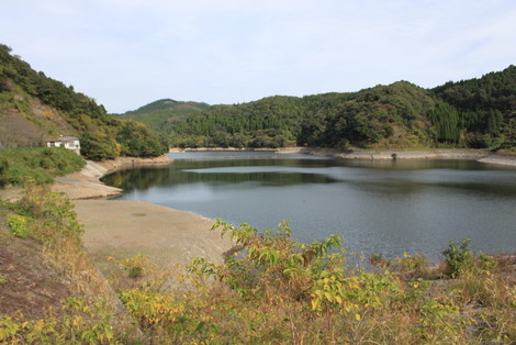 IMG_7125.jpg