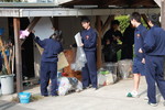IMG_8156.jpg