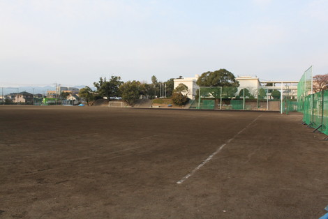 IMG_8460.jpg
