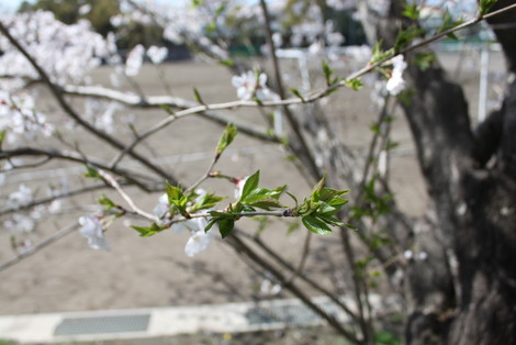 IMG_8797.jpg