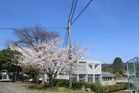 IMG_8806.jpg