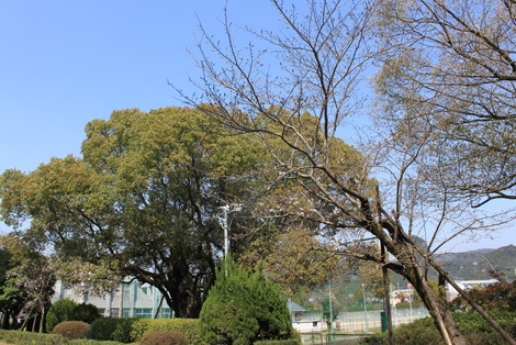 IMG_9898.jpg