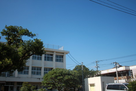 IMG_9918.jpg
